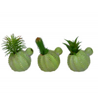 Цветы искусственные "Cactus" SU519